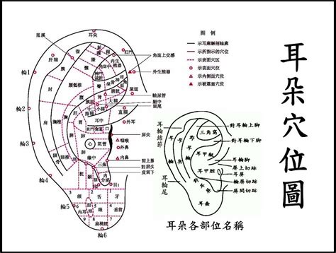 穿耳洞漏財